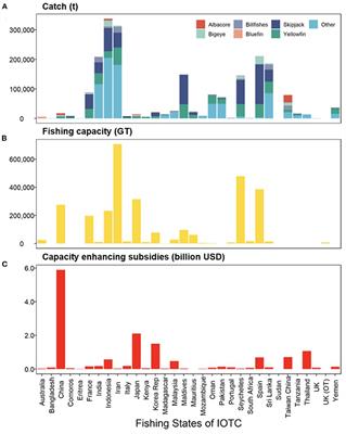 Subsidies and allocation: A legacy of distortion and intergenerational loss